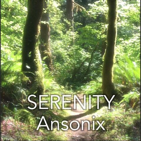 Serenity (Radio Edit)