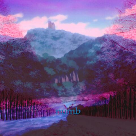 Numb