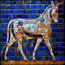 The Code of Hammurabi