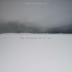The Wonder of It All