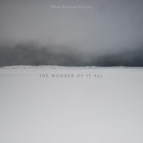 The Wonder of It All