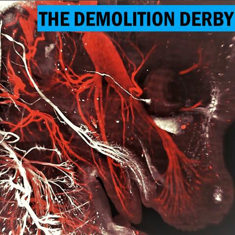 The Demolition Derby