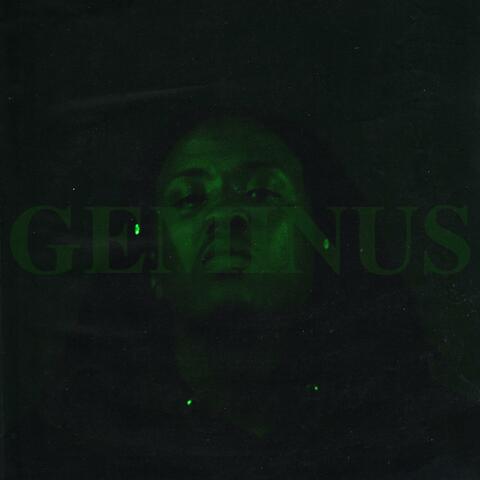 Geminus