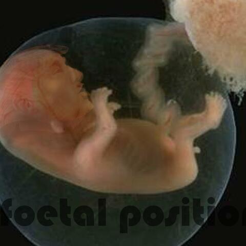 Foetal Position