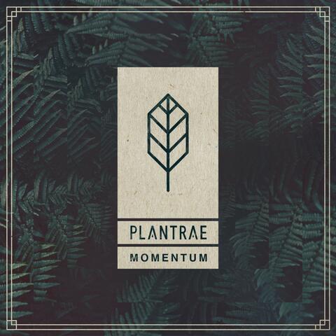 Momentum