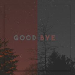 Goodbye (feat. Selita)