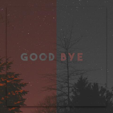 Goodbye (feat. Selita)
