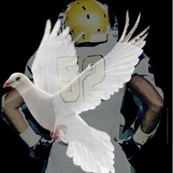 Long Live Ced (Pour One)