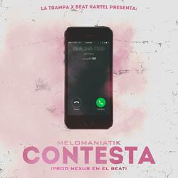 Contesta