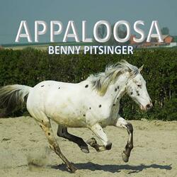Appaloosa