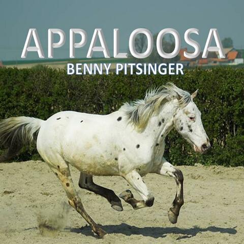 Appaloosa