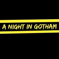 A Night in Gotham