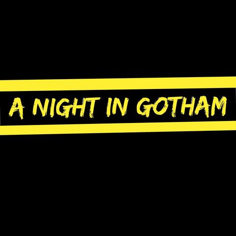 A Night in Gotham