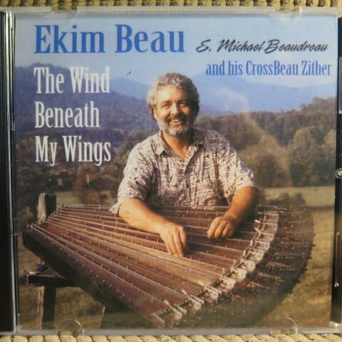 The Wind Beneath My Wings