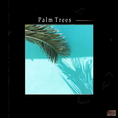 Palm Trees