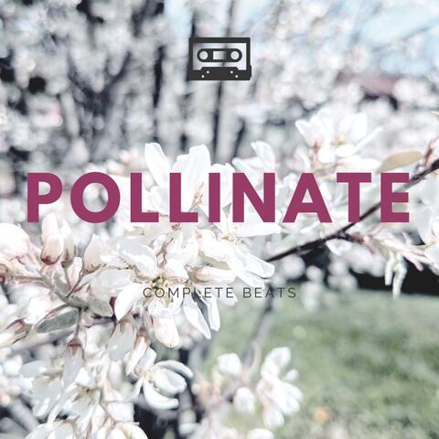 Pollinate
