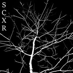 Scxr