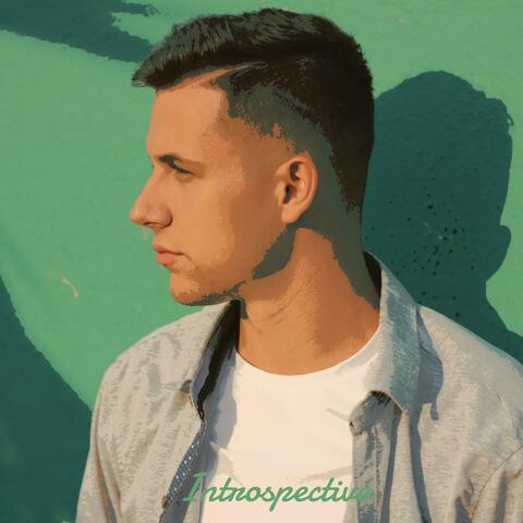 Introspective
