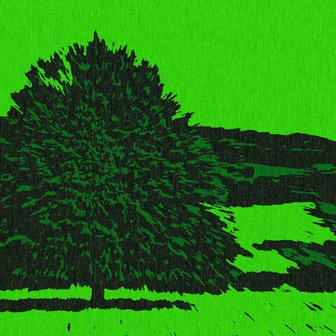 Linden Tree