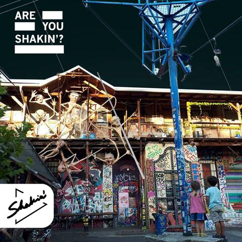Are You Shakin'?