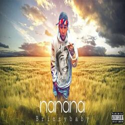 NaNaNa