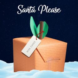 Santa Please
