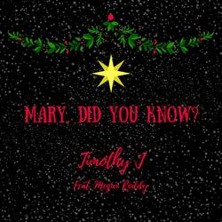Mary, Did You Know?
