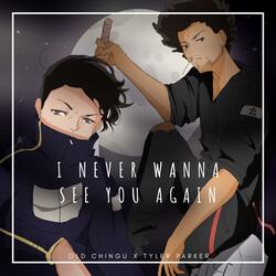 I Never Wanna See You Again