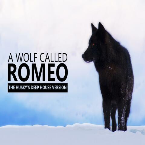 A Wolf Called Romeo (The Husky's Deep House)