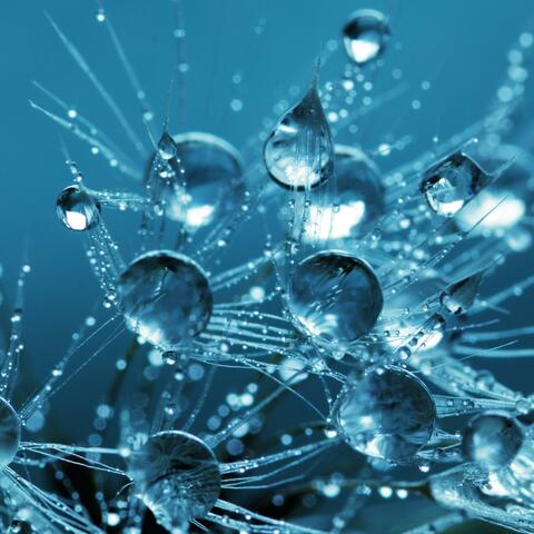 Bubbles
