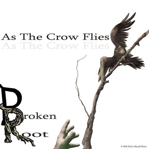 As the Crow Flies