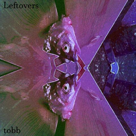 Leftovers
