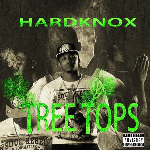 Tree Tops