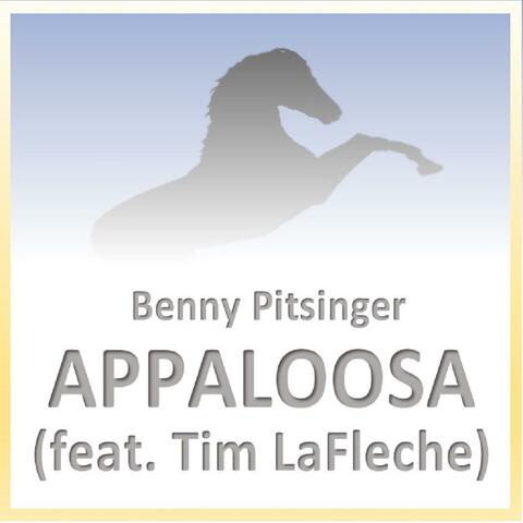 Appaloosa
