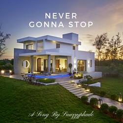 Never Gonna Stop