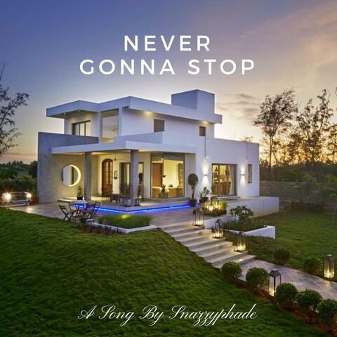Never Gonna Stop