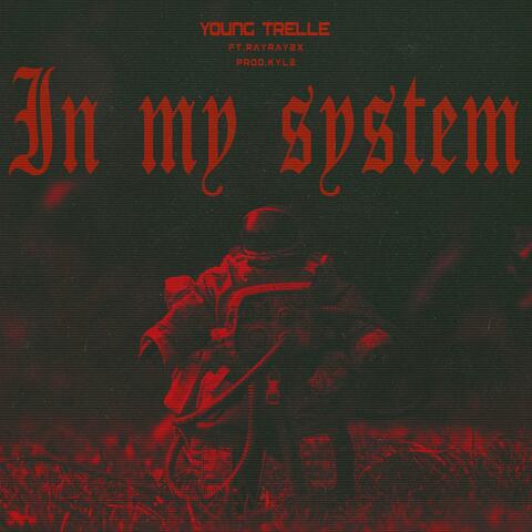 In My System
