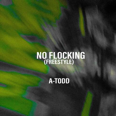 No Flocking (Freestyle)