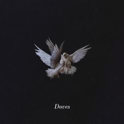 Icarus
