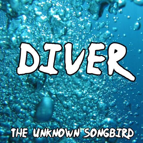 Diver (Naruto Shippuden)
