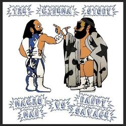 Macho Man Vs. Randy Savage