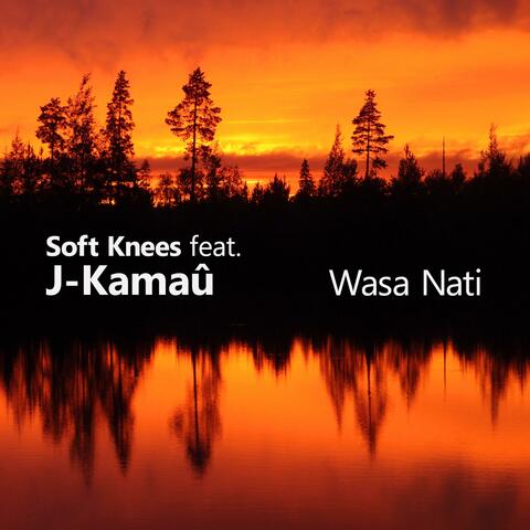 Wasa Nati