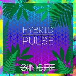 Hybrid Pulse