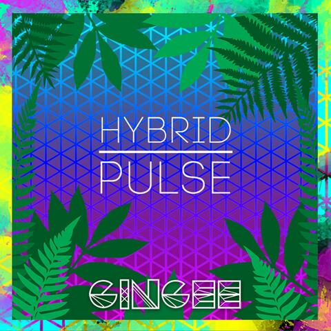 Hybrid Pulse