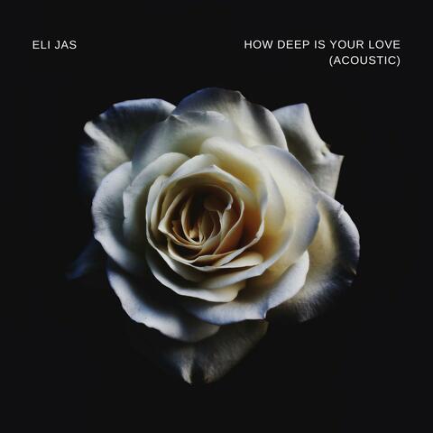 How Deep Is Your Love