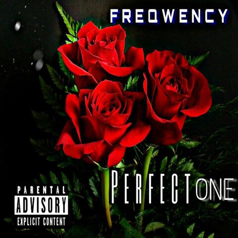 Perfect One