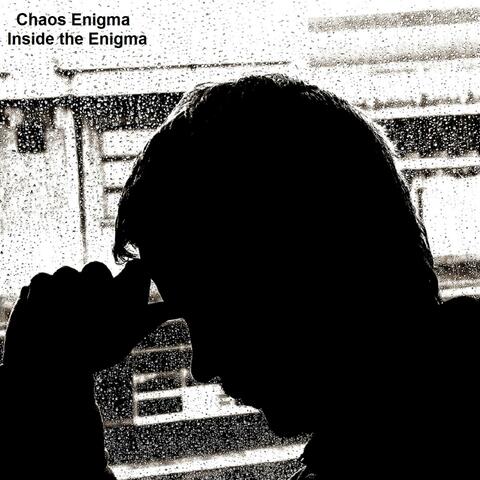 Inside the Enigma