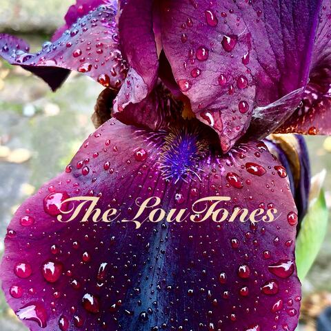 The LouTones