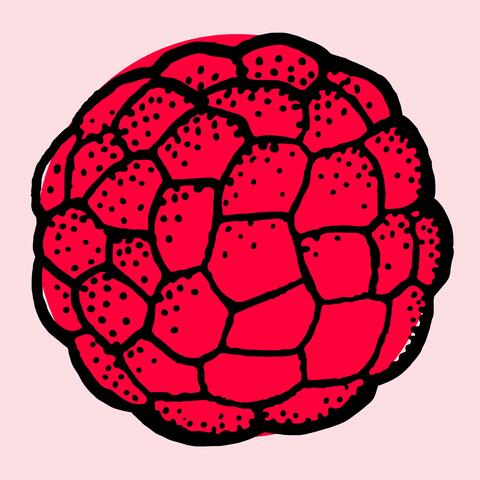 Raspberry