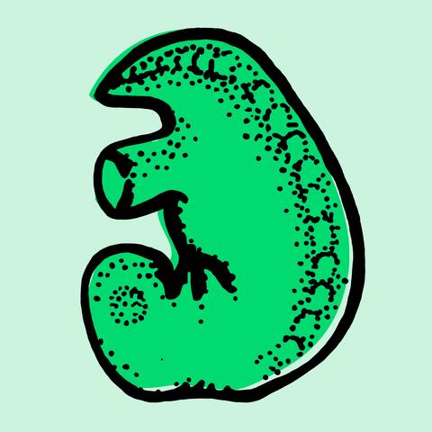 Beow